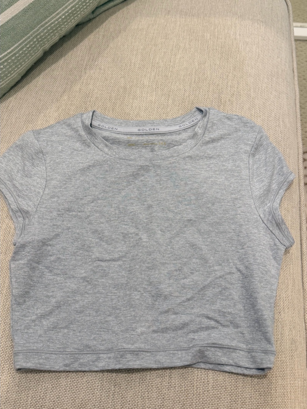 Aritzia Golden Heather Gray Crewneck Tee